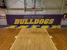 Anton ISD logo