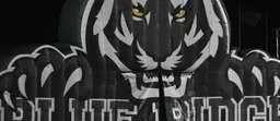 Blue Ridge ISD logo