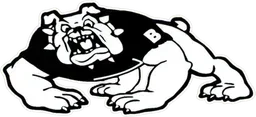Bosqueville ISD logo