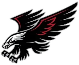Channing ISD logo