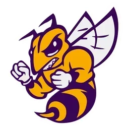 Chester ISD logo