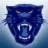 Coleman ISD logo