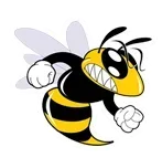 Coolidge ISD logo