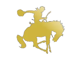 D'hanis ISD logo