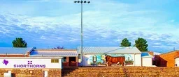 Marfa ISD logo