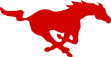 Nixon-smiley CISD logo
