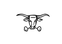 Pearsall ISD logo