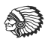 Port Neches-groves ISD logo