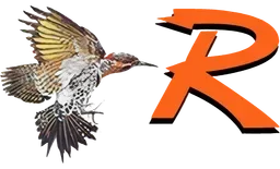 Rotan ISD logo
