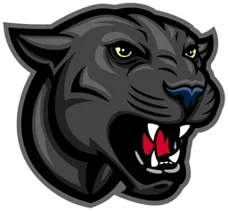 San Vicente ISD logo