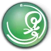 Arabic Immersion Magnet School logo